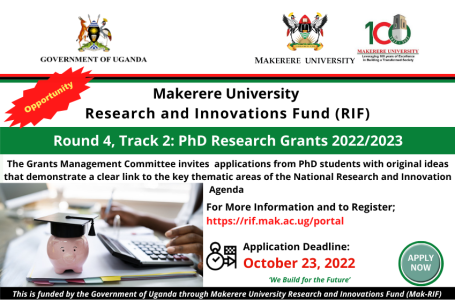 Call for Applications: PhD Research Grants
