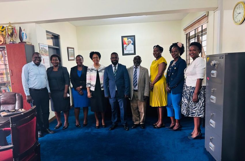  Engagement with Uganda’s Ministry of Public Service